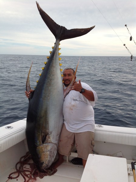 Puerto Vallarta fishing report January 2014