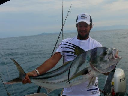 Roosterfish