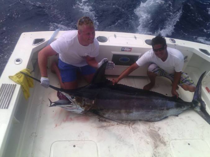 Marlin mymarlin Puerto Vallarta fishing report July