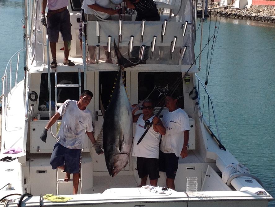 captain_Steve_Torres big Tuna yelowfin Puerto Vallarta fishing charters mymarlin